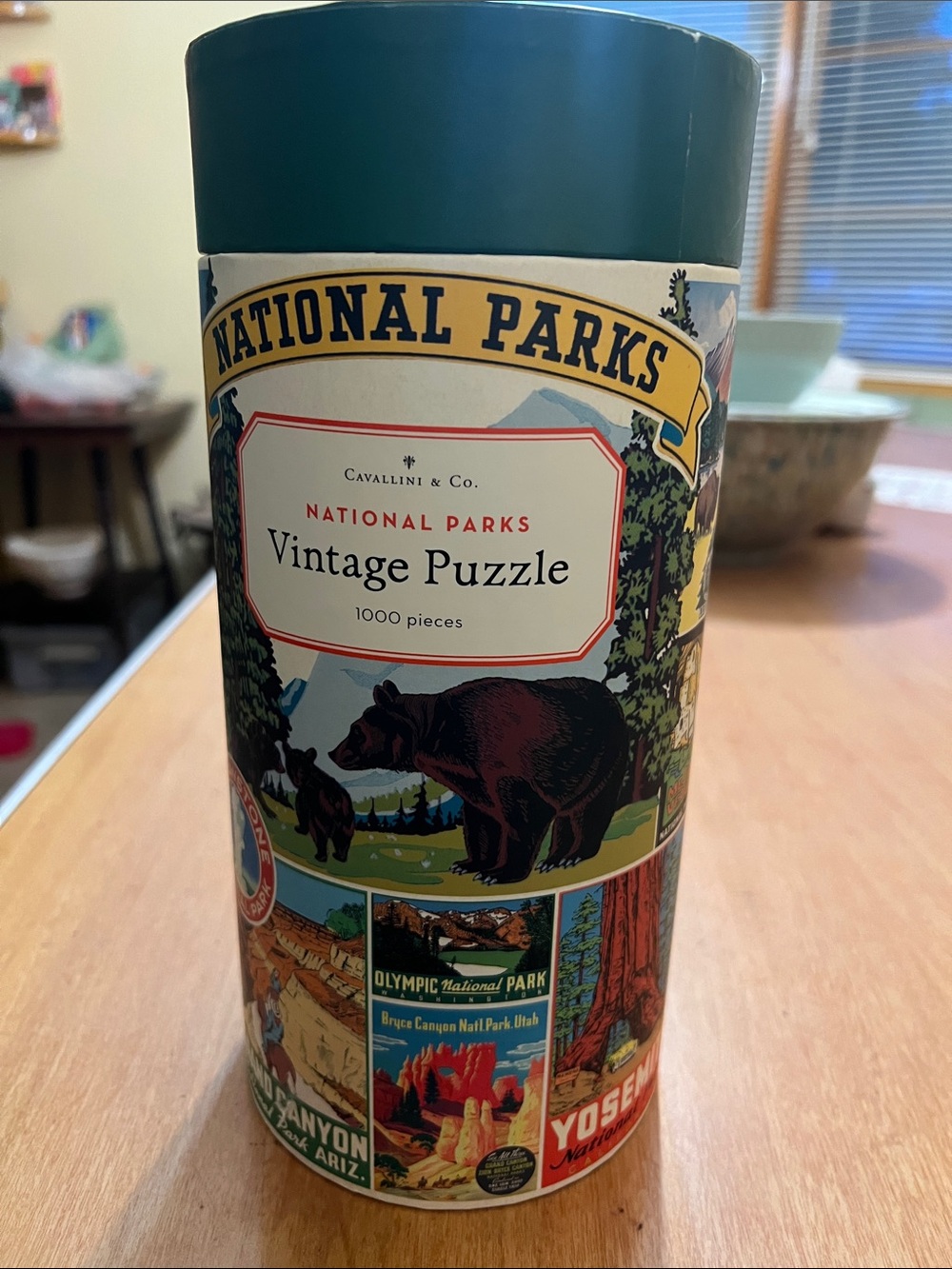 Cavallini & Co. National Parks Vintage Puzzle - Teal Lid